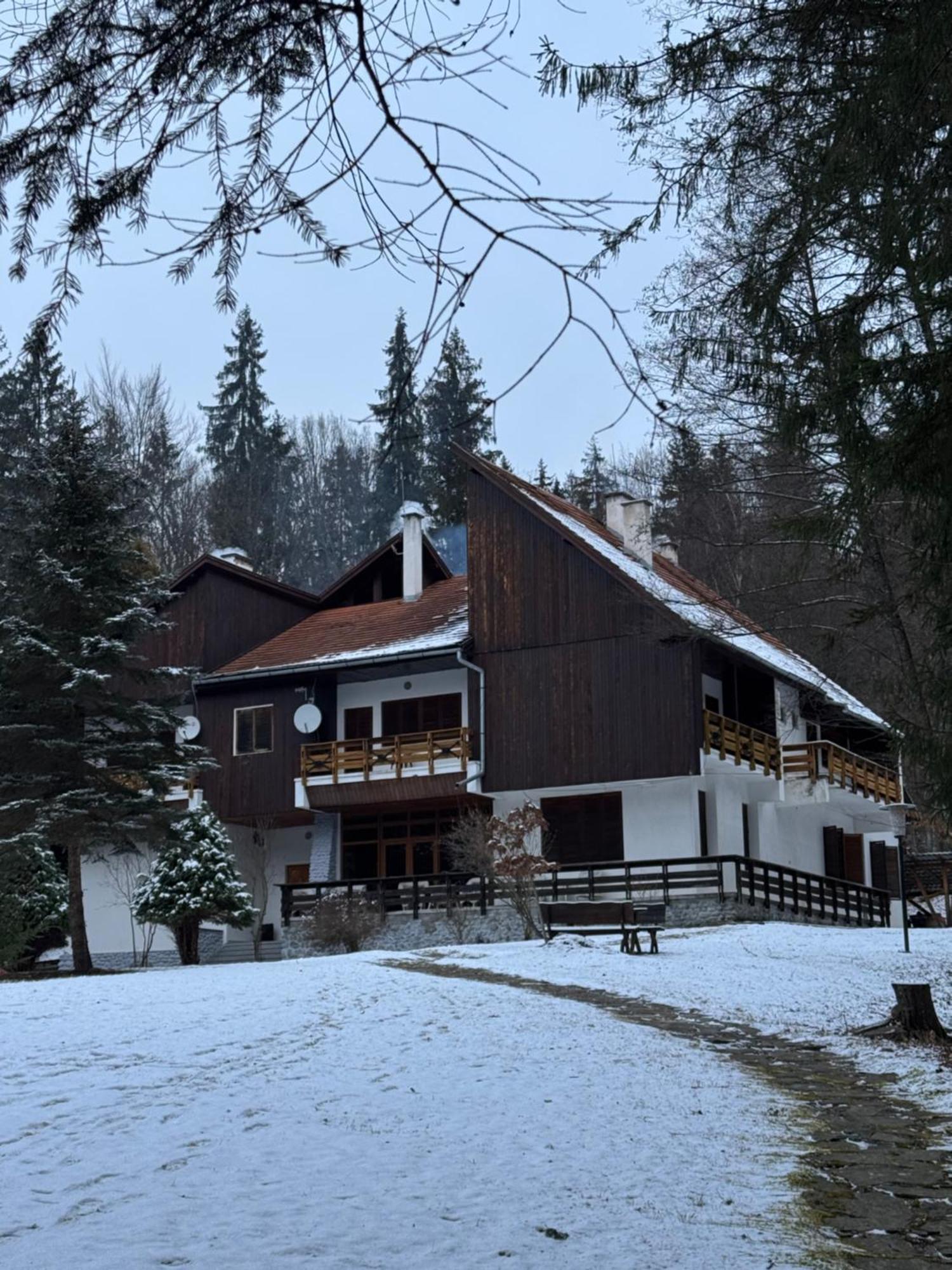 Kormos Bradut